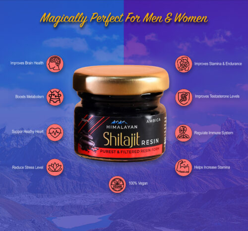 Shilajit benefits